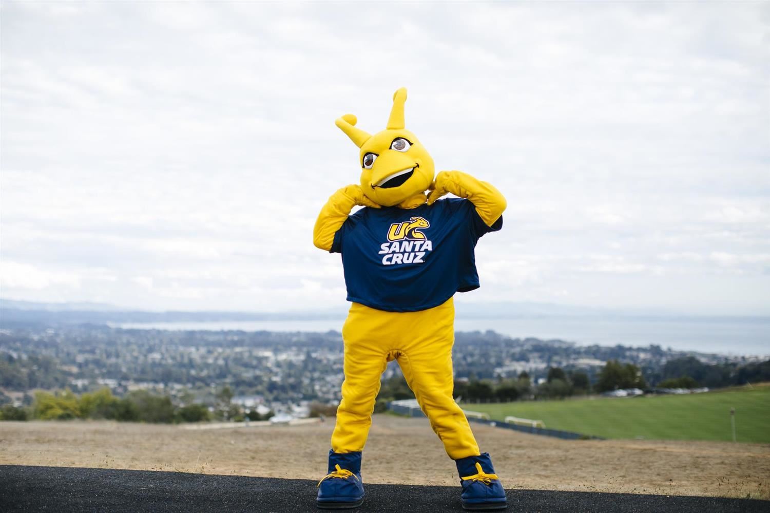 UCSC Mascot UCSC Mascot